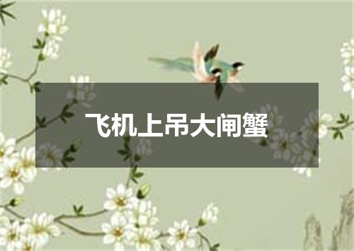 飞机上吊大闸蟹