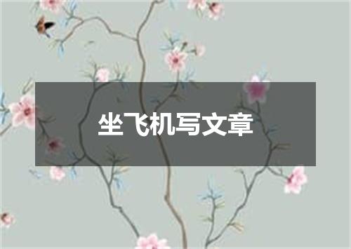 坐飞机写文章