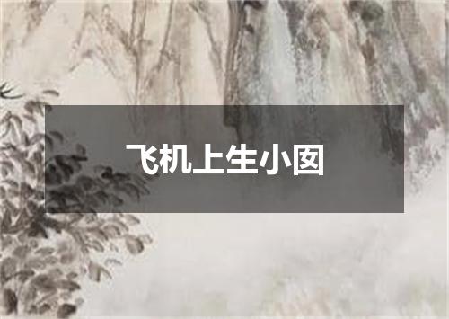 飞机上生小囡