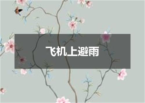 飞机上避雨