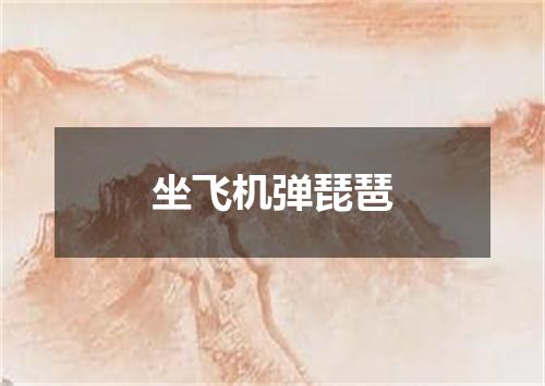坐飞机弹琵琶