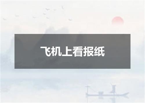 飞机上看报纸
