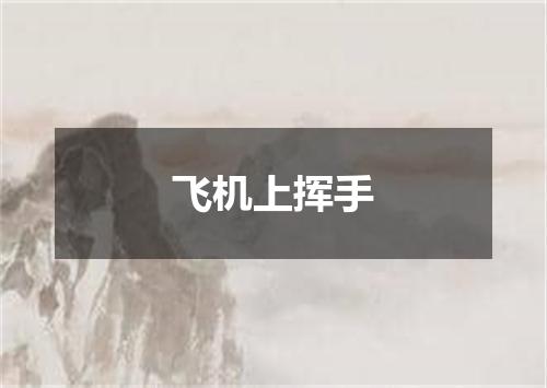 飞机上挥手