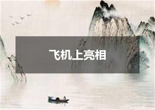 飞机上亮相