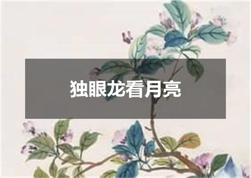 独眼龙看月亮