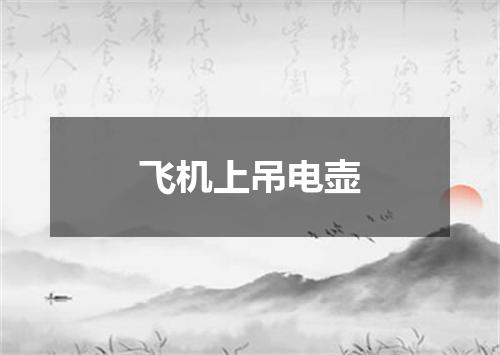 飞机上吊电壶