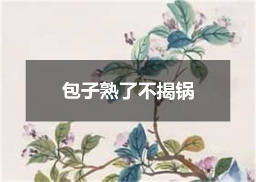 包子熟了不揭锅