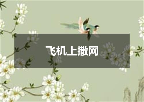 飞机上撒网