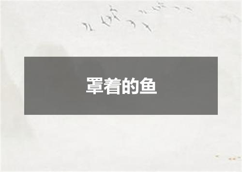 罩着的鱼