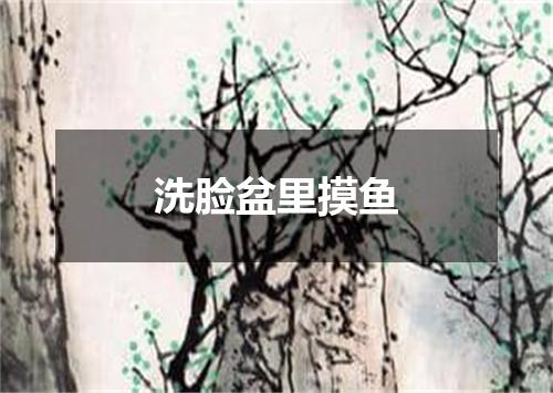 洗脸盆里摸鱼