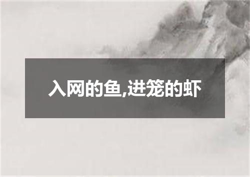 入网的鱼,进笼的虾