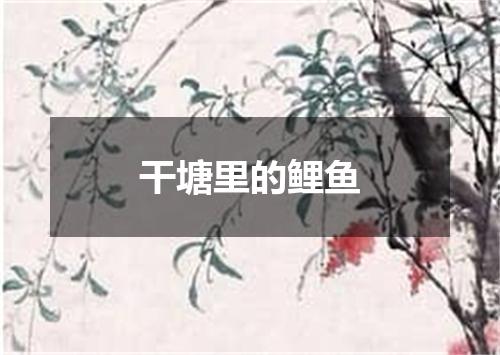 干塘里的鲤鱼