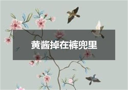 黄酱掉在裤兜里