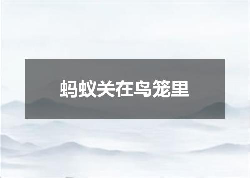蚂蚁关在鸟笼里