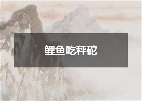 鲤鱼吃秤砣