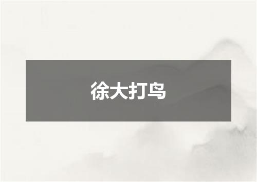 徐大打鸟