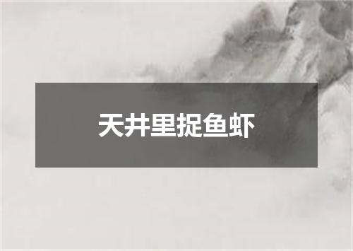 天井里捉鱼虾