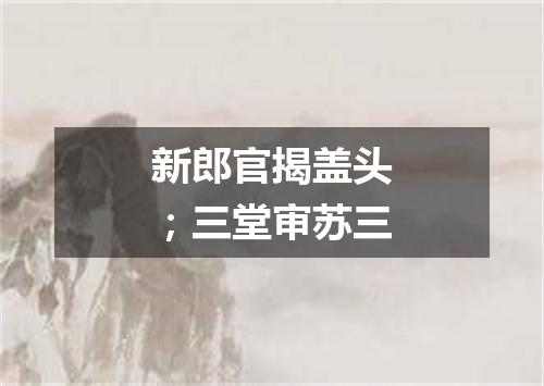 新郎官揭盖头；三堂审苏三