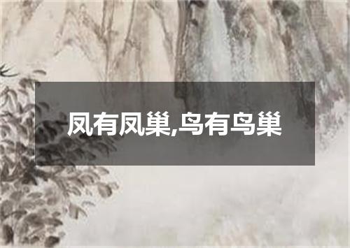 凤有凤巢,鸟有鸟巢