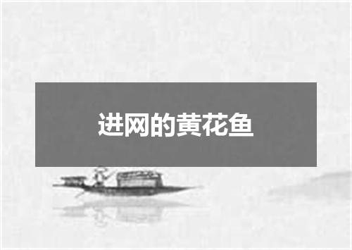 进网的黄花鱼