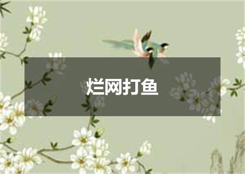 烂网打鱼