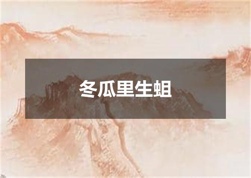 冬瓜里生蛆