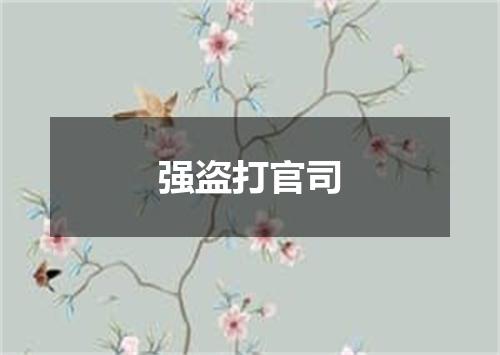 强盗打官司