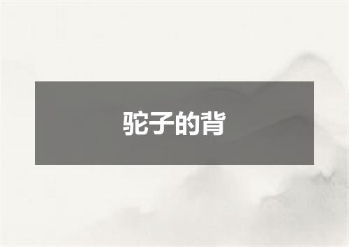 驼子的背
