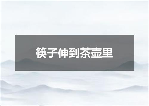 筷子伸到茶壶里