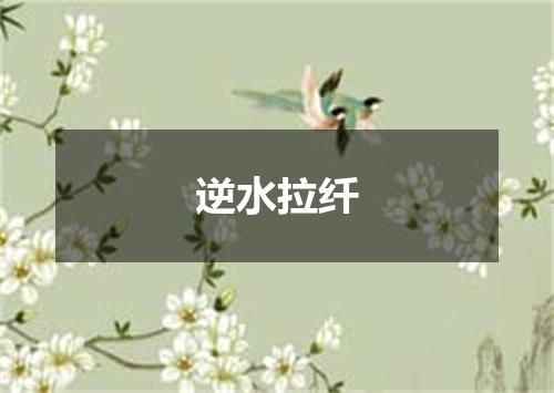 逆水拉纤