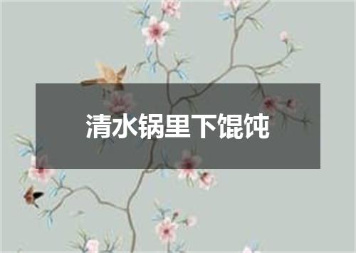 清水锅里下馄饨