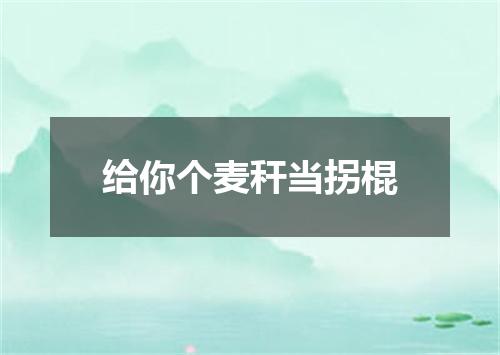 给你个麦秆当拐棍