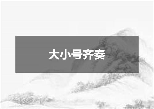 大小号齐奏