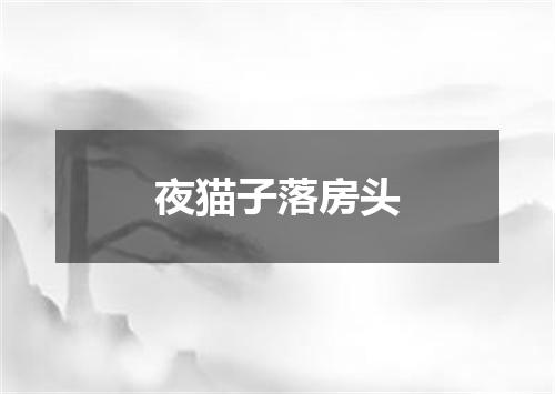 夜猫子落房头