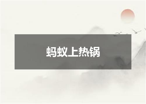 蚂蚁上热锅