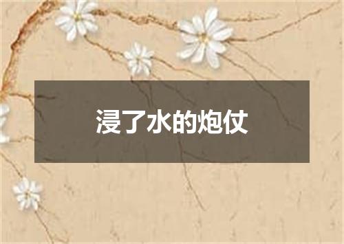 浸了水的炮仗