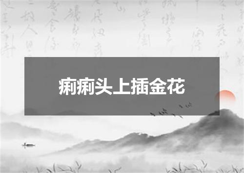痢痢头上插金花