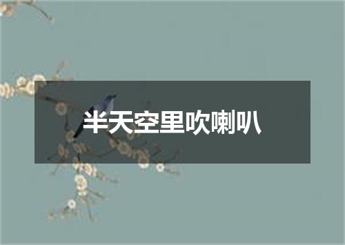 半天空里吹喇叭