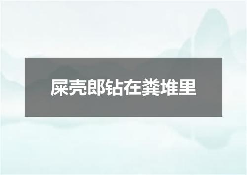 屎壳郎钻在粪堆里
