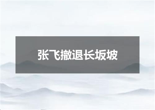 张飞撤退长坂坡