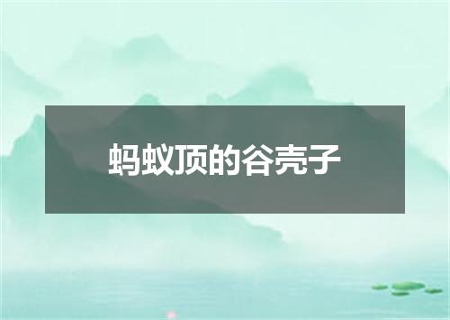 蚂蚁顶的谷壳子