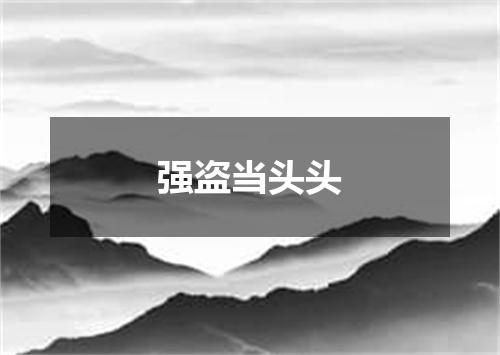 强盗当头头