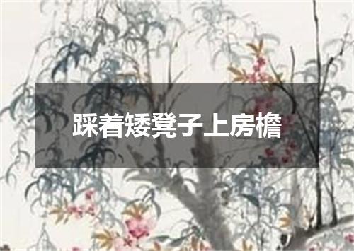 踩着矮凳子上房檐