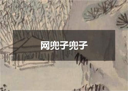 网兜子兜子