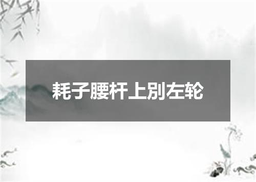 耗子腰杆上別左轮