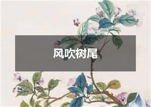 风吹树尾