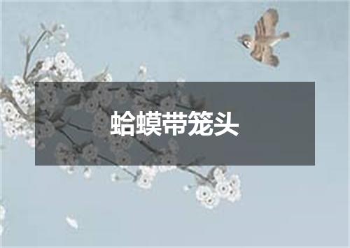 蛤蟆带笼头