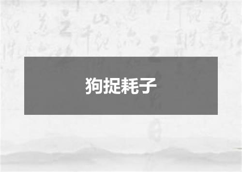 狗捉耗子