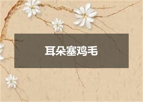 耳朵塞鸡毛