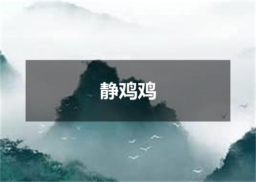 静鸡鸡